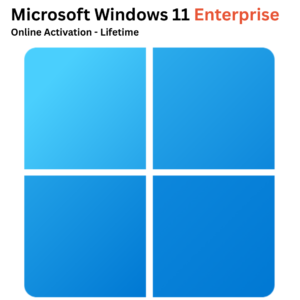 Microsoft Windows 11 Enterprise 50 PC