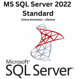 MS SQL Server 2022 Standard